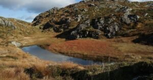 Free stock photo of autumn, fitjar, hill